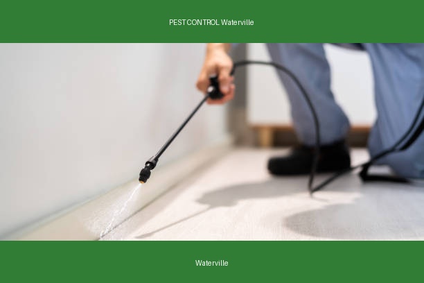 PEST CONTROL Waterville